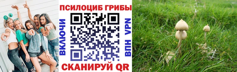 Галлюциногенные грибы мицелий  Тогучин 